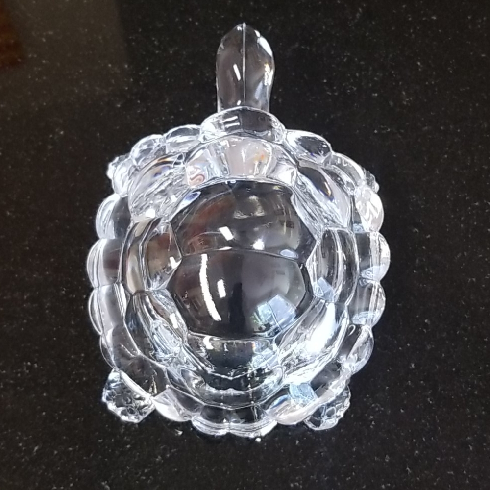 Crystal Turtle - Picture 3 of 5